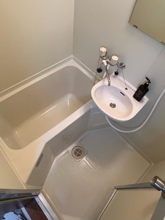 20240417 (33).JPG