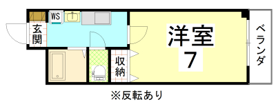 アルビ―コート
