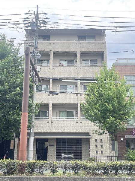 コンフォート９