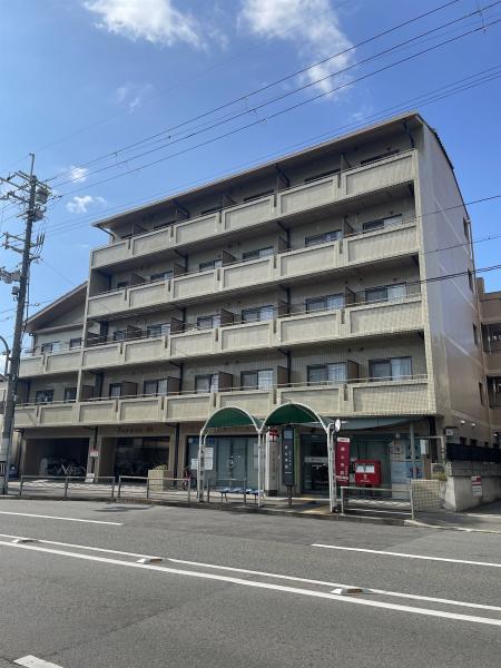 フラワー３３