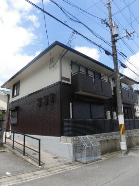 ハイカムール今原