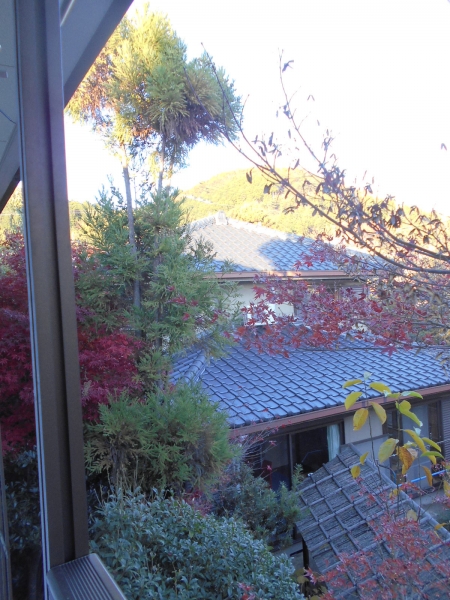 GREENS(グリーンズ)A棟