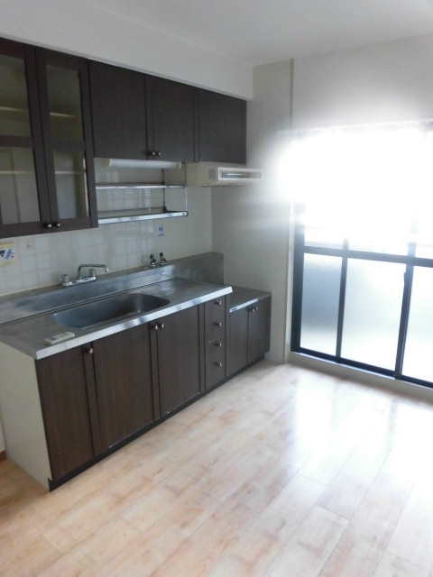 パレ・デュ・カメリア