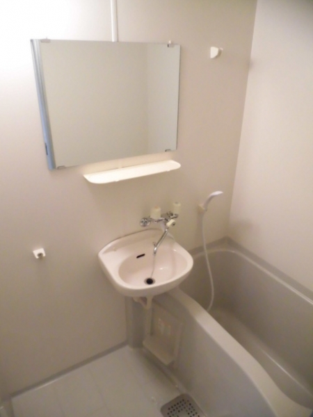 ゴールドクレスト