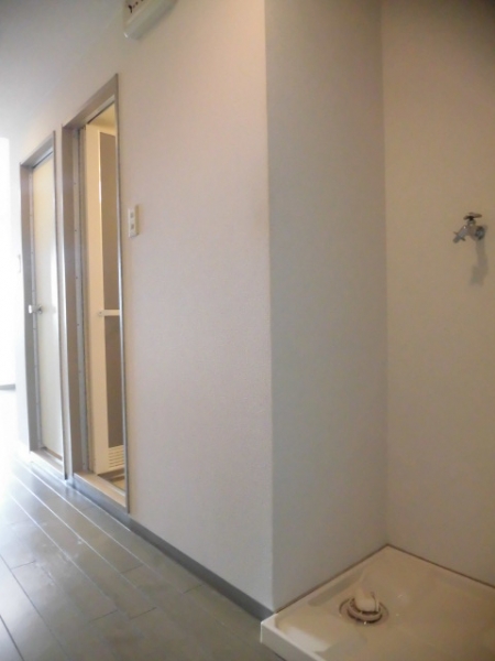 ゴールドクレスト