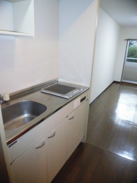 MSイサホ