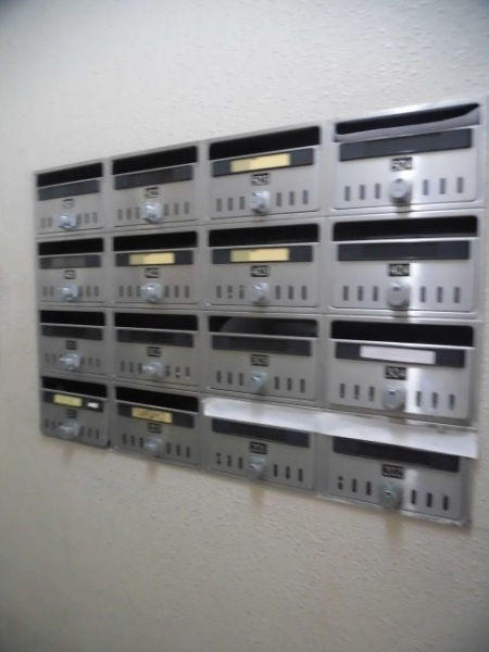 Amare亀乃子