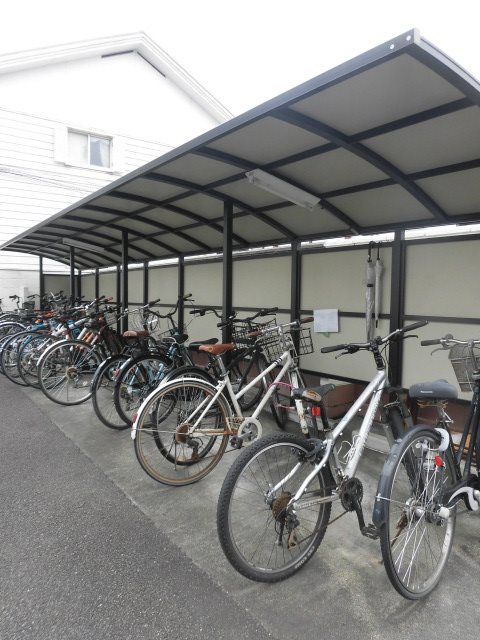 ファインフォーリスト