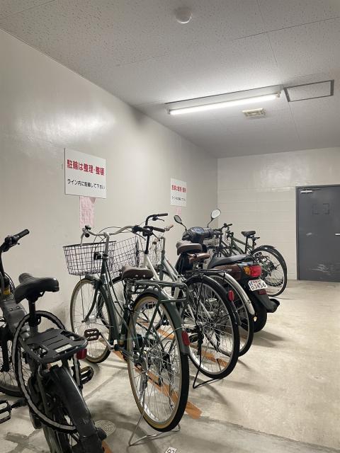 シチクハイネス