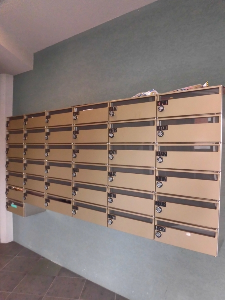 ヴィヴィ・紫野