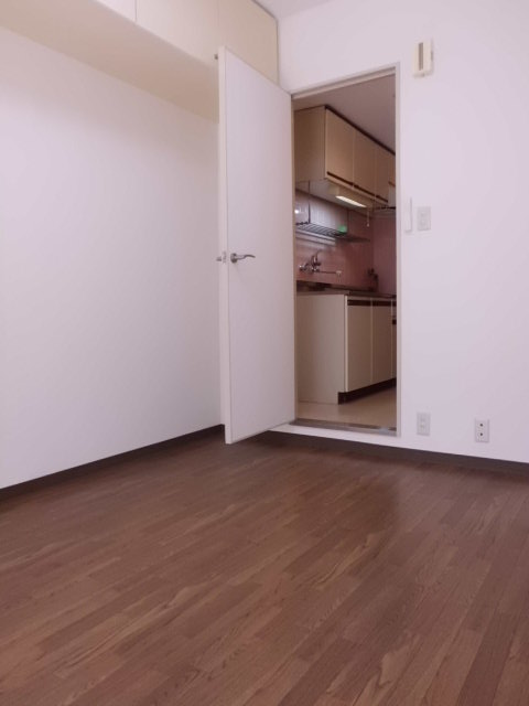 D'S LYNX