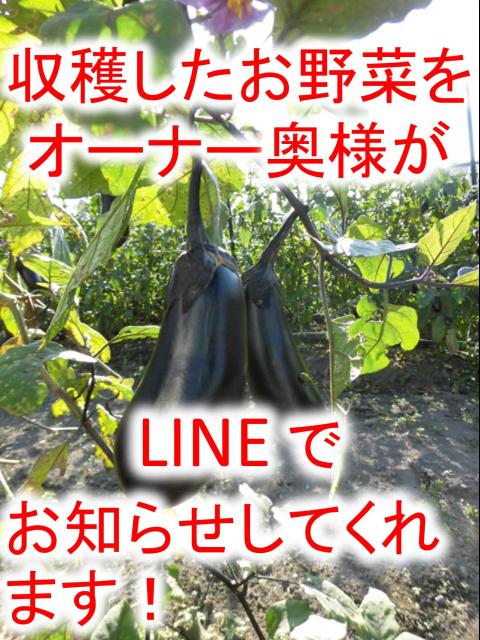 ジュン・アンビエンテ