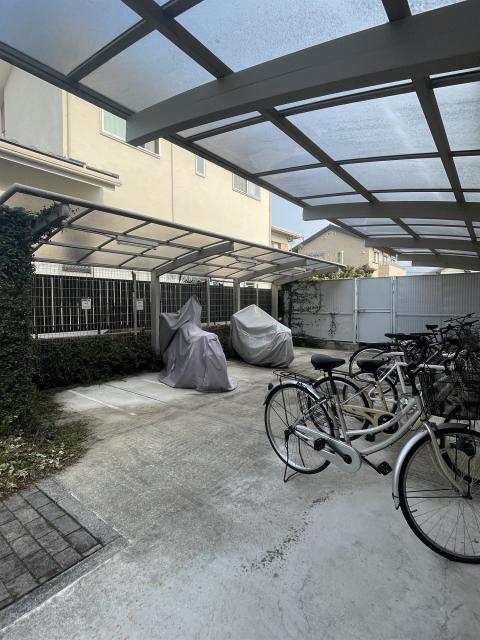 estudio comodo