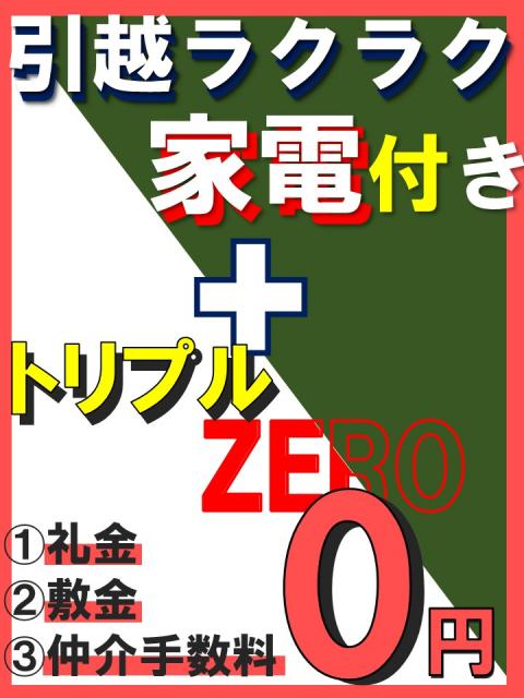 クリーンハイツタケダ