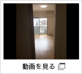 動画を見る